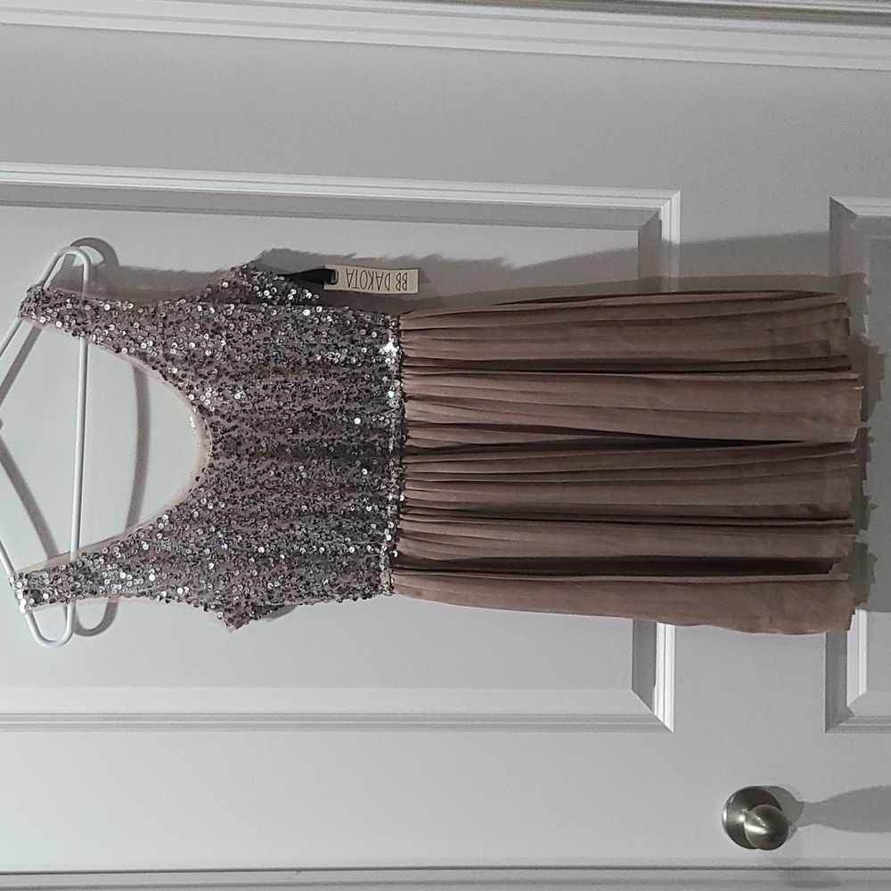 BB Dakota Sequin mini dress